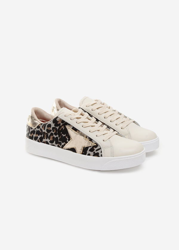 Estrella Leopardo Gold