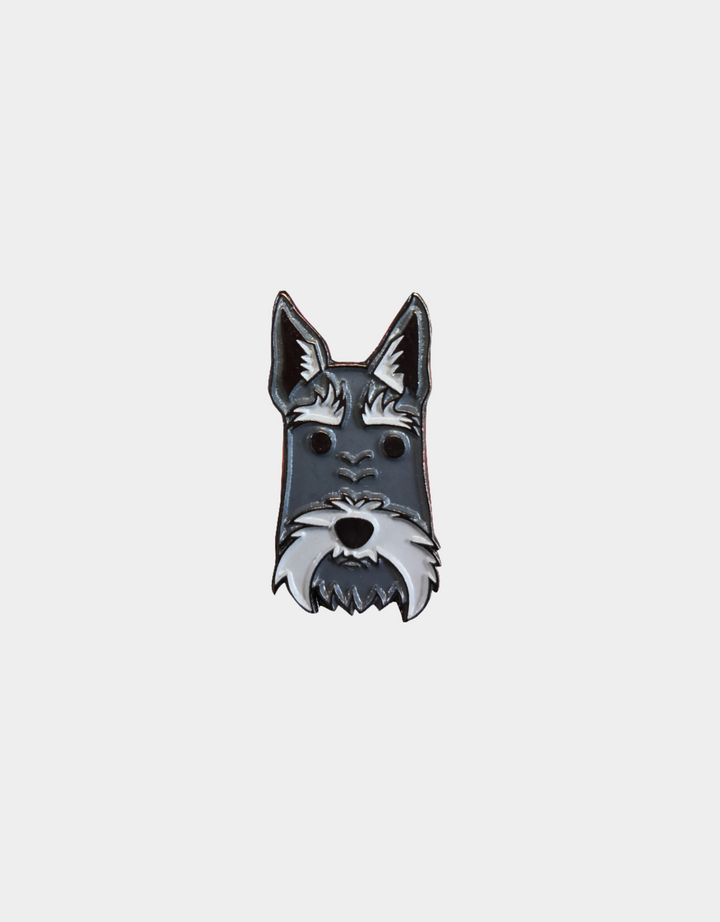 Pines Mascota x LauVet