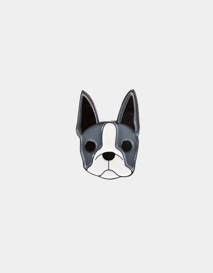 Pines Mascota x LauVet