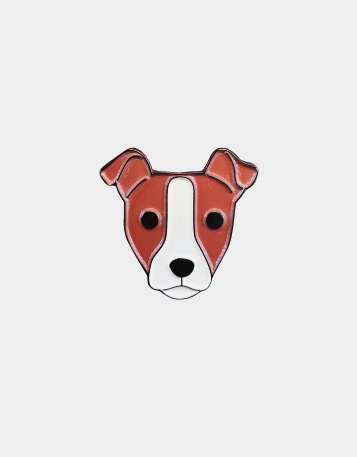 Pines Mascota x LauVet