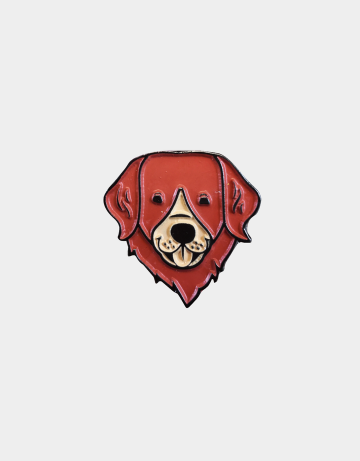 Pines Mascota x LauVet