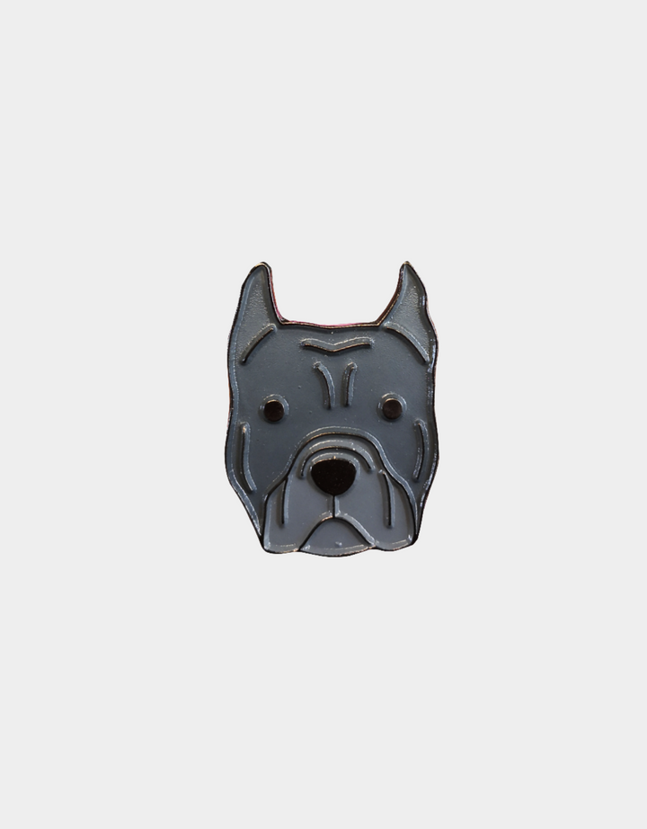 Pines Mascota x LauVet
