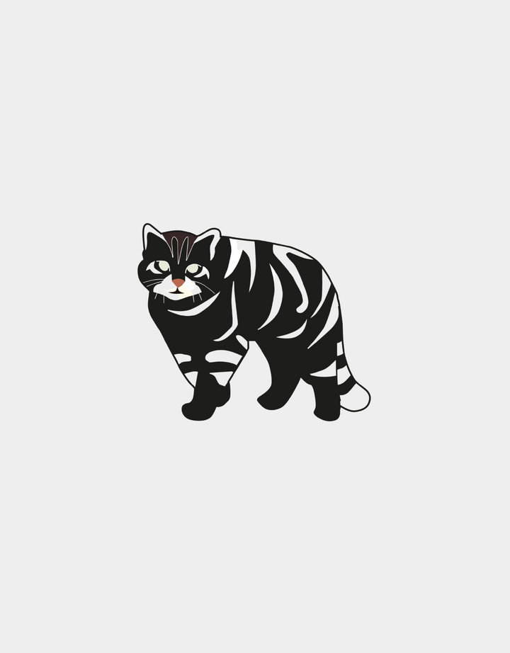 Pines Mascota x LauVet