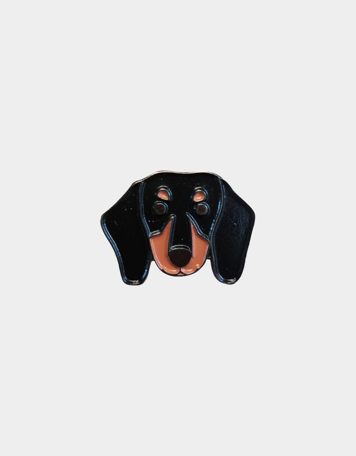 Pines Mascota x LauVet