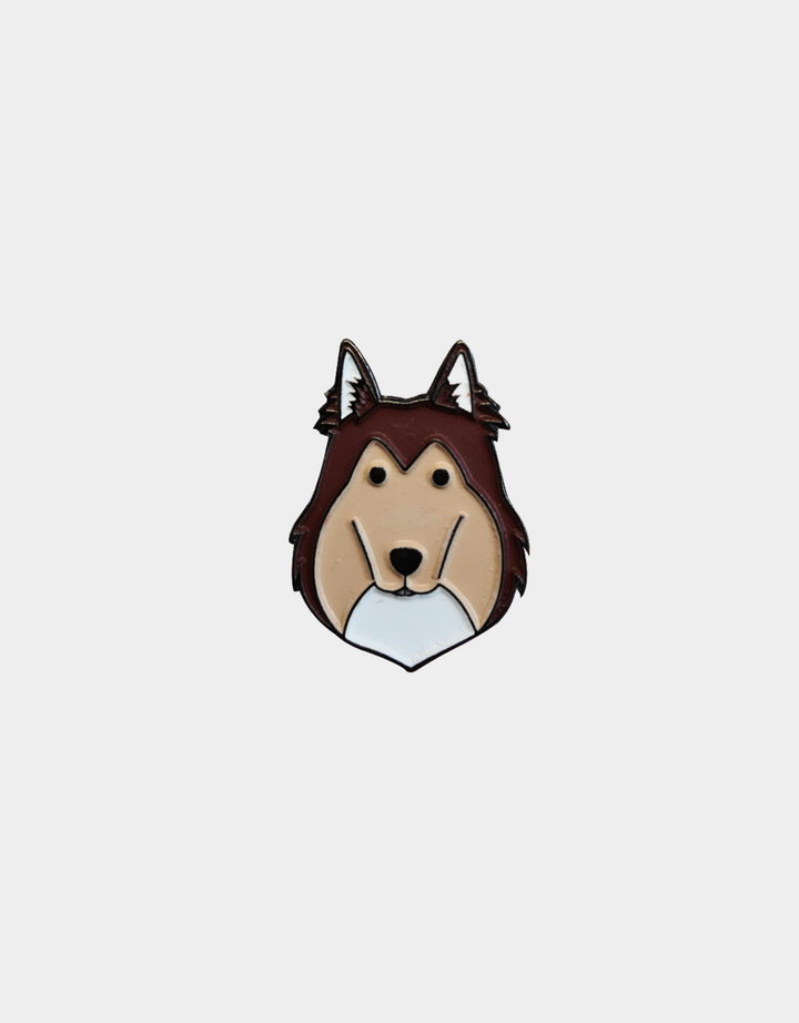 Pines Mascota x LauVet